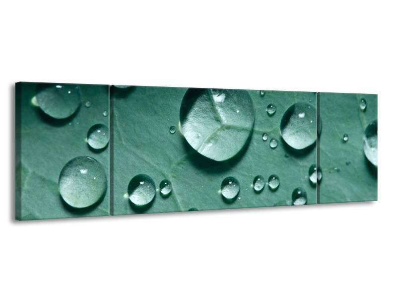 Canvas schilderij Druppels | Groen, Wit, Grijs | 170x50cm 3Luik