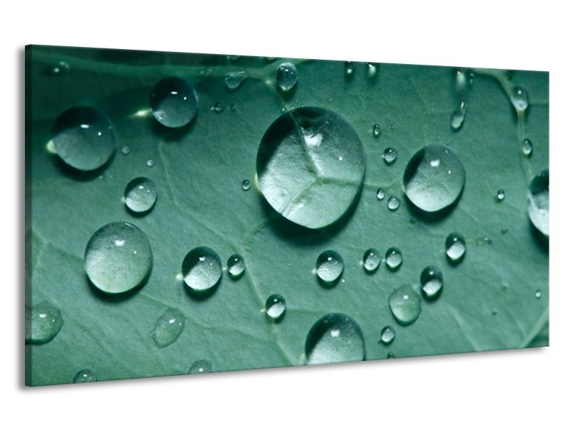 Canvas schilderij Druppels | Groen, Wit, Grijs | 190x100cm 1Luik