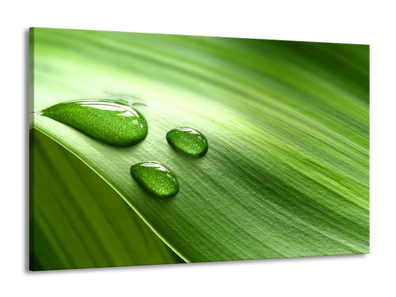 Canvas schilderij Druppels | Groen, Wit, Grijs | 140x90cm 1Luik
