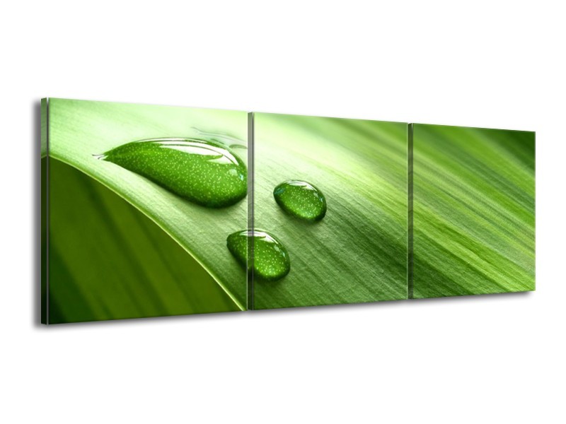 Canvas schilderij Druppels | Groen, Wit, Grijs | 150x50cm 3Luik