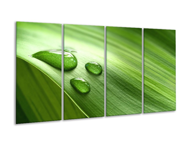 Canvas schilderij Druppels | Groen, Wit, Grijs | 160x80cm 4Luik