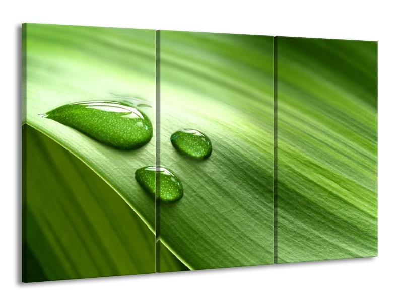Canvas schilderij Druppels | Groen, Wit, Grijs | 165x100cm 3Luik