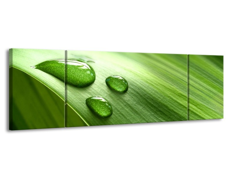 Canvas schilderij Druppels | Groen, Wit, Grijs | 170x50cm 3Luik