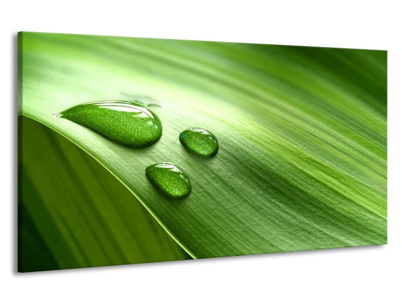 Canvas schilderij Druppels | Groen, Wit, Grijs | 190x100cm 1Luik