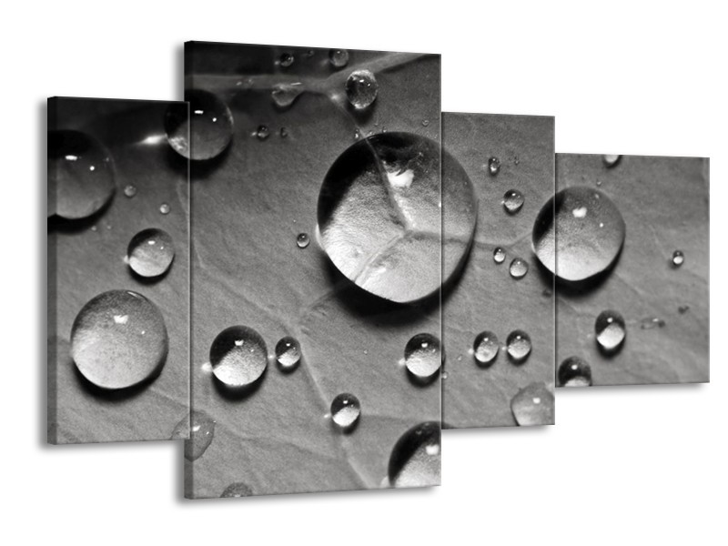 Canvas schilderij Druppels | Grijs, Wit | 120x75cm 4Luik