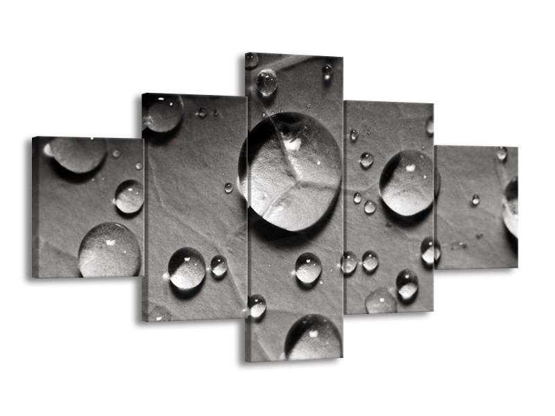 Canvas schilderij Druppels | Grijs, Wit | 125x70cm 5Luik