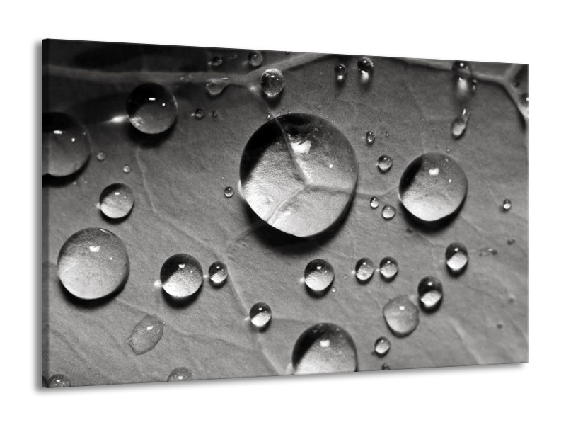 Canvas schilderij Druppels | Grijs, Wit | 140x90cm 1Luik