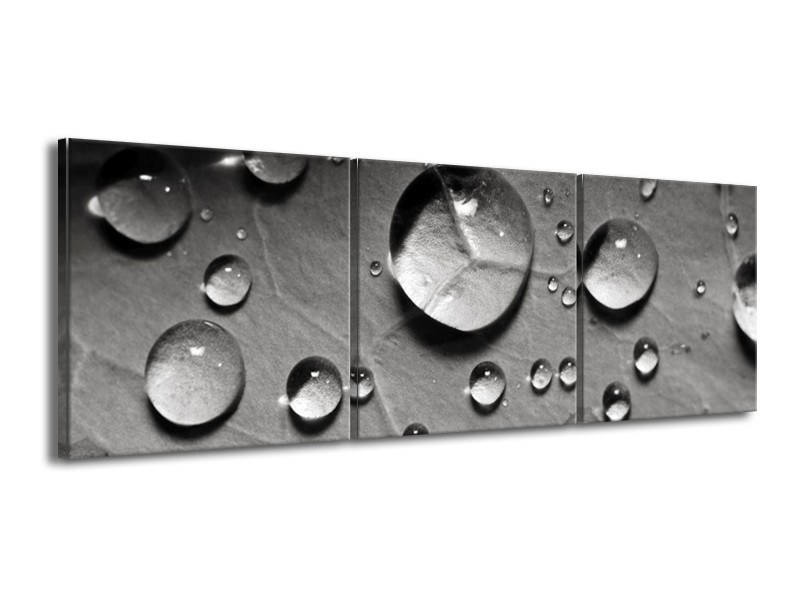 Canvas schilderij Druppels | Grijs, Wit | 150x50cm 3Luik