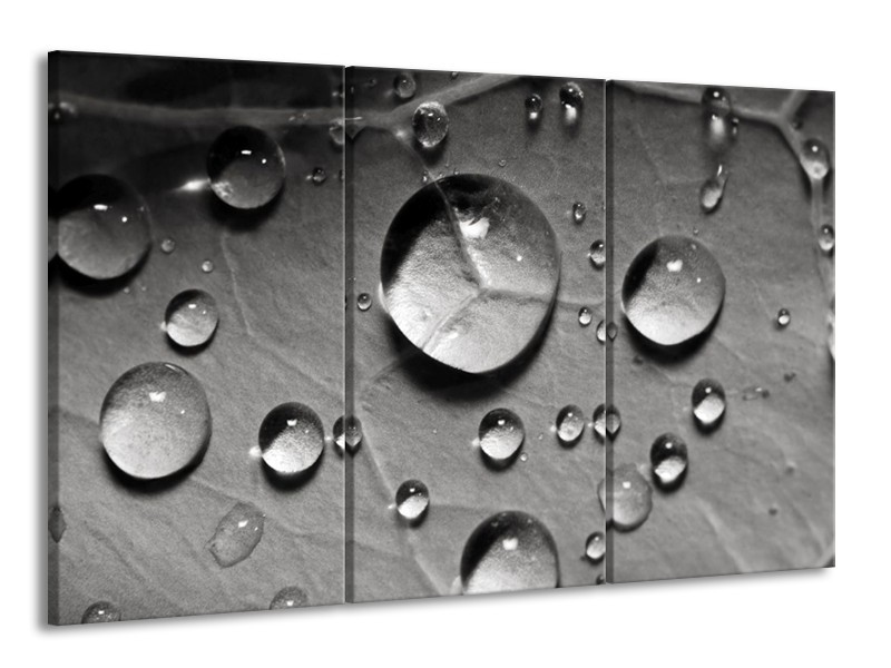 Canvas schilderij Druppels | Grijs, Wit | 165x100cm 3Luik