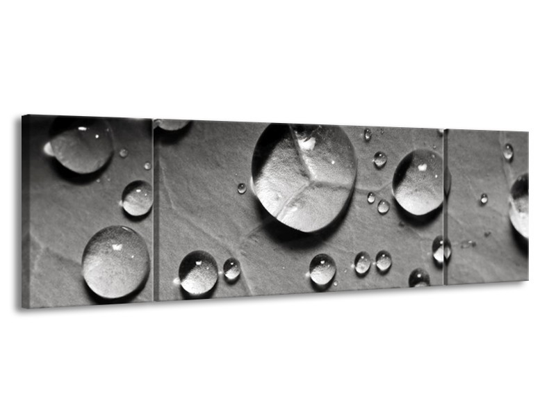 Canvas schilderij Druppels | Grijs, Wit | 170x50cm 3Luik