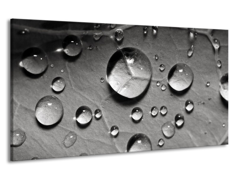 Canvas schilderij Druppels | Grijs, Wit | 190x100cm 1Luik