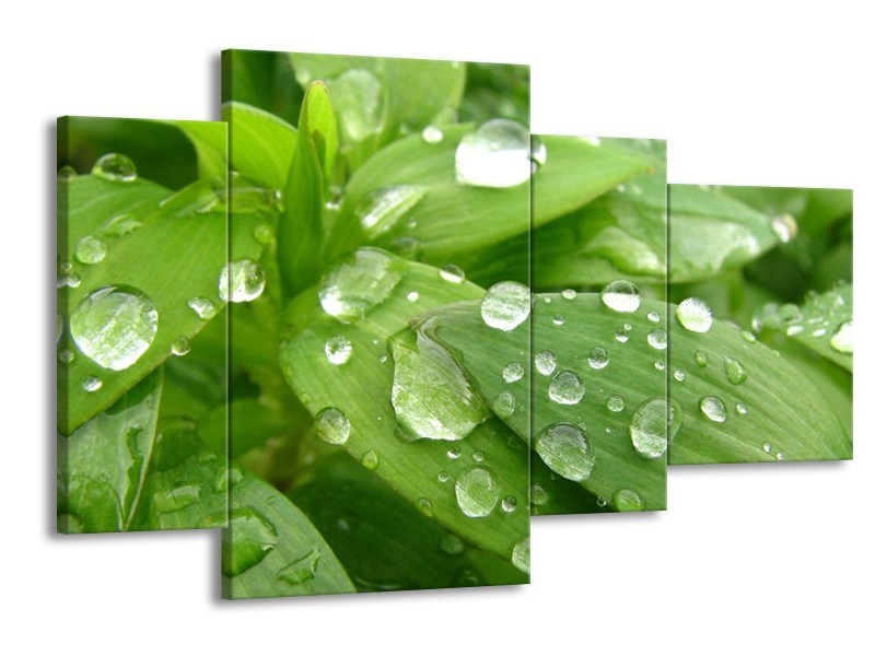 Canvas schilderij Druppels | Groen, Wit, Grijs | 120x75cm 4Luik