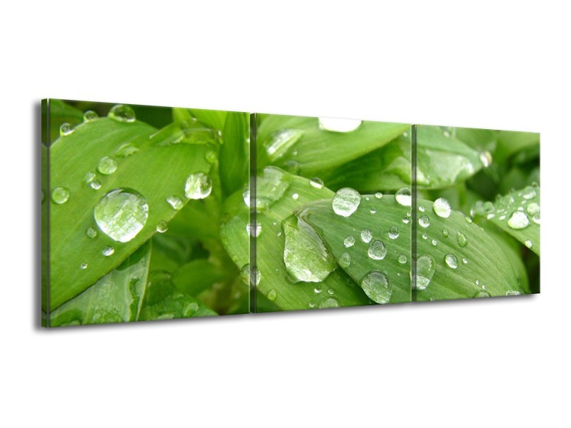 Canvas schilderij Druppels | Groen, Wit, Grijs | 150x50cm 3Luik