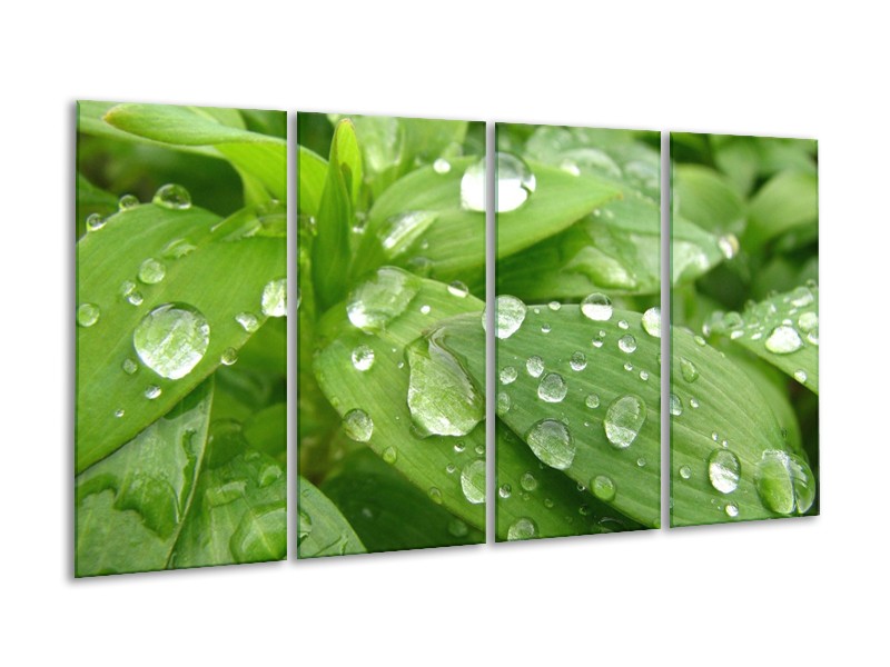 Canvas schilderij Druppels | Groen, Wit, Grijs | 160x80cm 4Luik