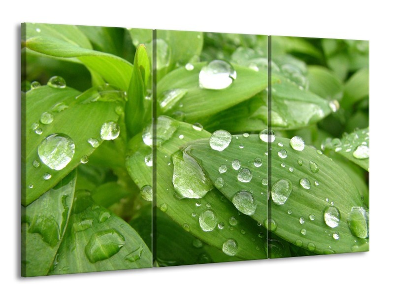 Glas schilderij Druppels | Groen, Wit, Grijs | 165x100cm 3Luik