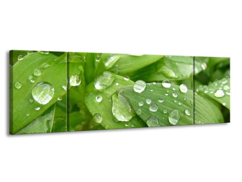 Canvas schilderij Druppels | Groen, Wit, Grijs | 170x50cm 3Luik