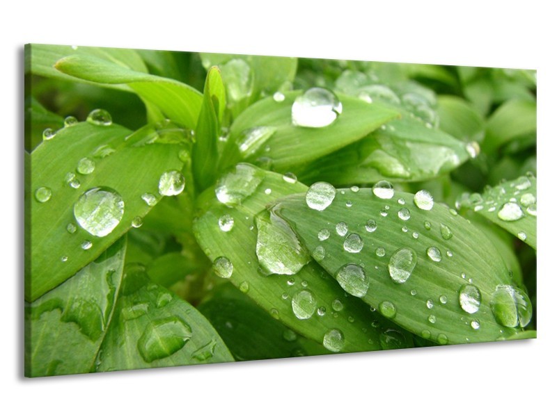 Canvas schilderij Druppels | Groen, Wit, Grijs | 190x100cm 1Luik