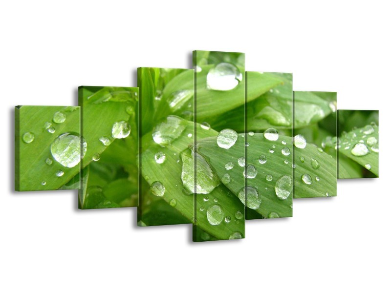 Canvas schilderij Druppels | Groen, Wit, Grijs | 210x100cm 7Luik