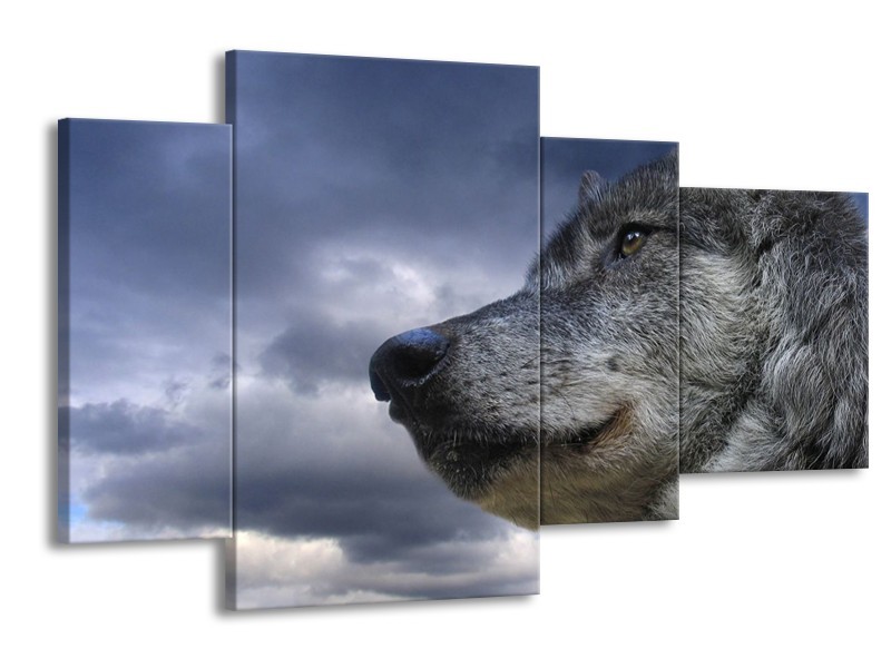 Canvas schilderij Wolf | Grijs, Blauw, Wit | 120x75cm 4Luik