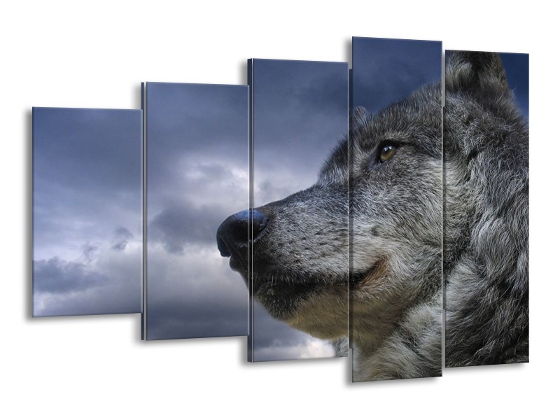 Glas schilderij Wolf | Grijs, Blauw, Wit | 150x100cm 5Luik