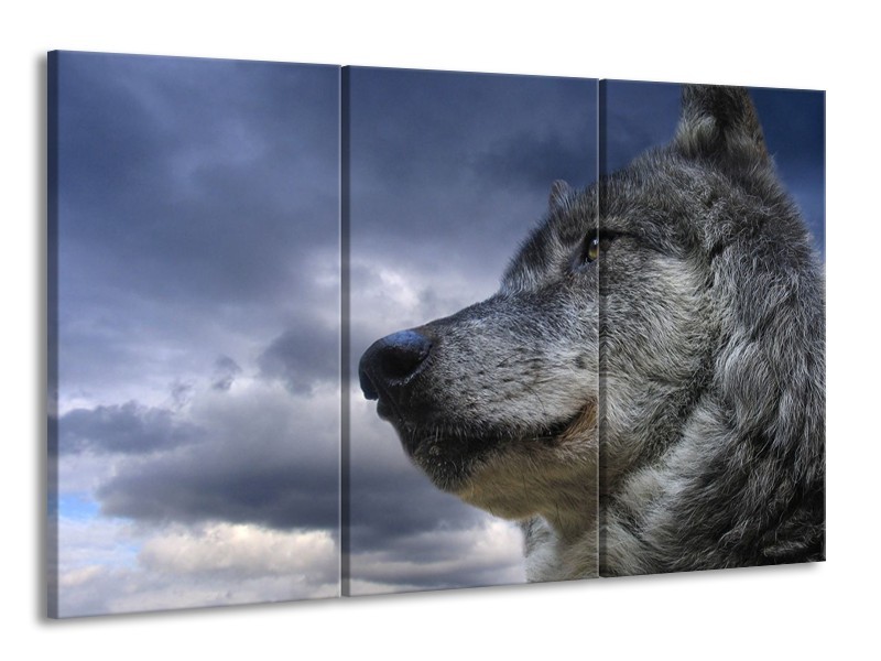 Canvas schilderij Wolf | Grijs, Blauw, Wit | 165x100cm 3Luik