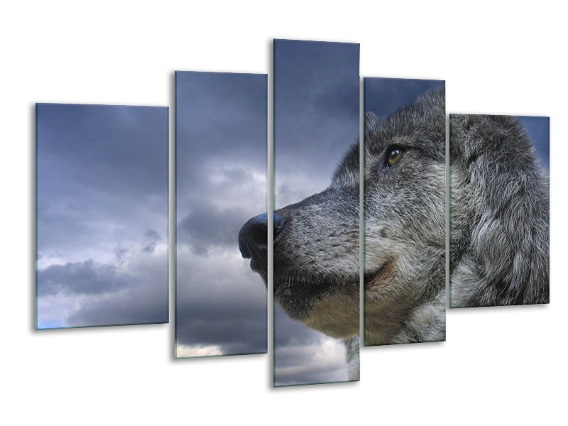 Glas schilderij Wolf | Grijs, Blauw, Wit | 170x100cm 5Luik