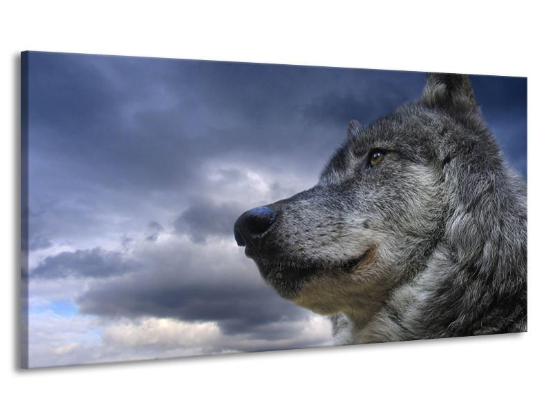 Canvas schilderij Wolf | Grijs, Blauw, Wit | 170x90cm 1Luik