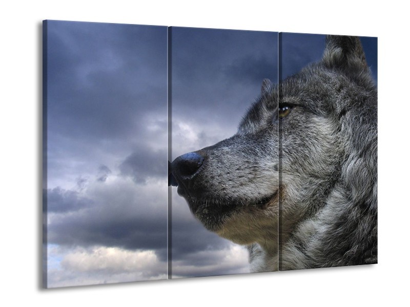 Glas schilderij Wolf | Grijs, Blauw, Wit | 90x60cm 3Luik