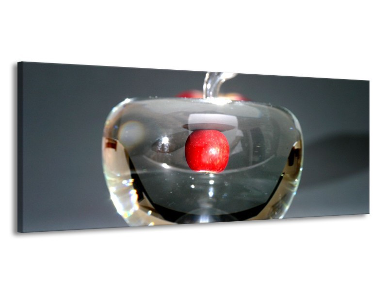 Canvas schilderij Appel | Rood, Grijs, Zilver | 145x58cm 1Luik
