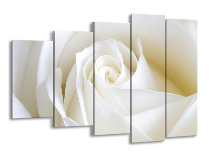 Canvas schilderij Roos | Wit | 150x100cm 5Luik