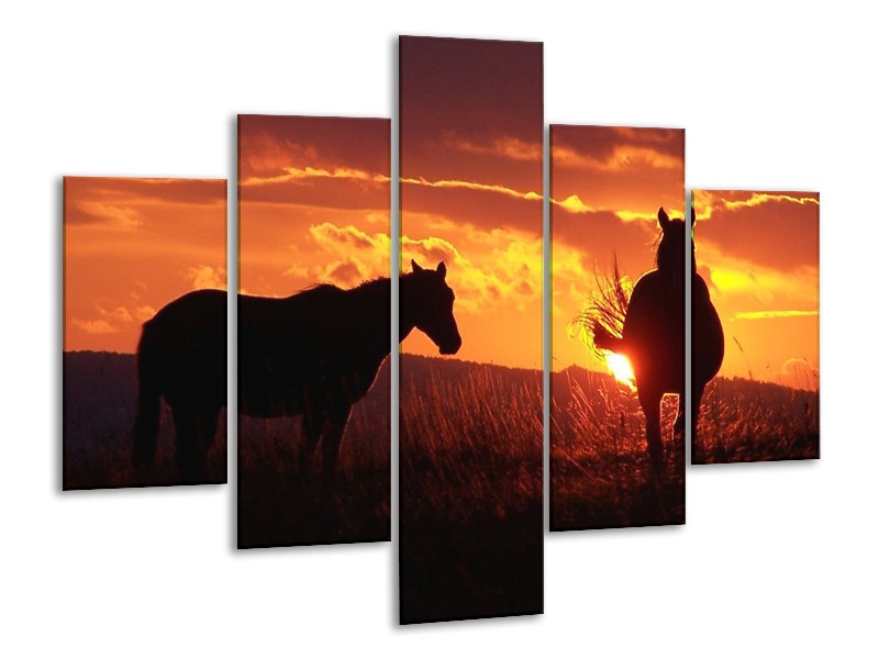 Canvas schilderij Paarden | Zwart, Geel, Oranje | 100x70cm 5Luik