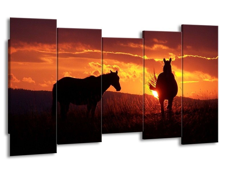 Glas schilderij Paarden | Zwart, Geel, Oranje | 150x80cm 5Luik