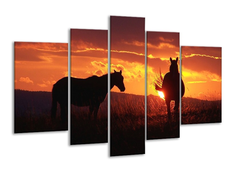 Canvas schilderij Paarden | Zwart, Geel, Oranje | 170x100cm 5Luik