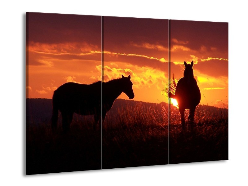 Glas schilderij Paarden | Zwart, Geel, Oranje | 90x60cm 3Luik