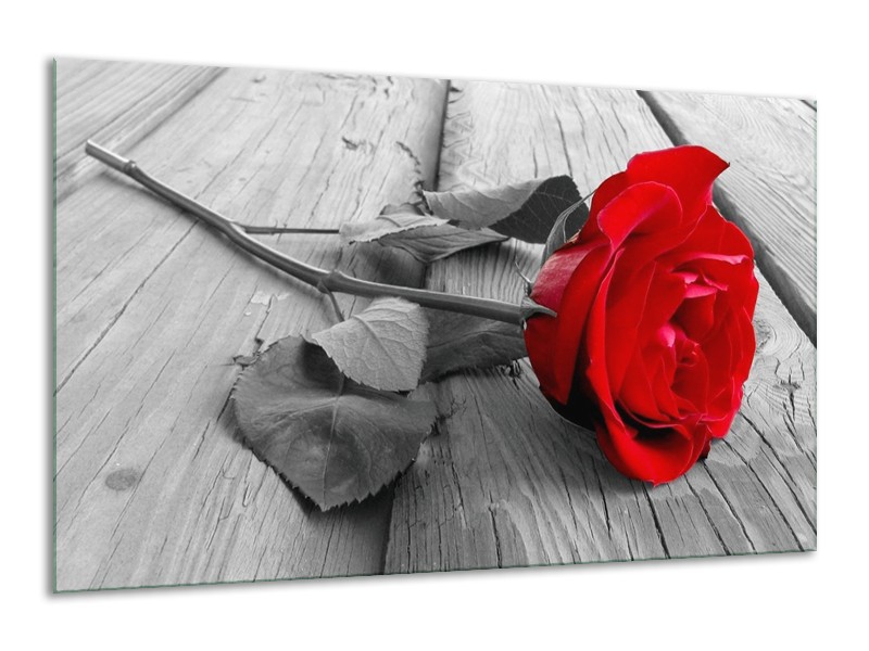 Canvas schilderij Roos | Rood, Grijs | 120x70cm 1Luik