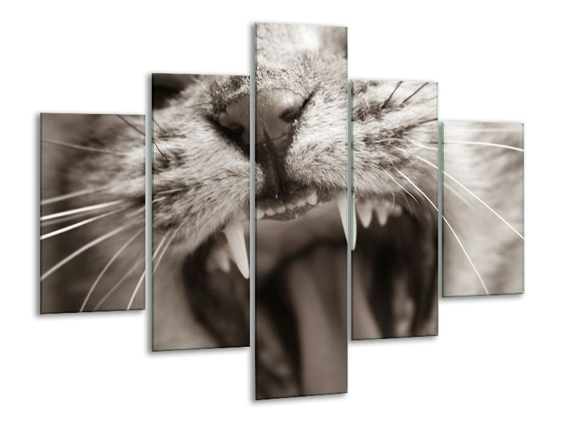 Glas schilderij Kat | Zwart, Geel, Bruin | 100x70cm 5Luik
