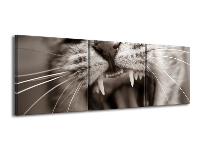 Canvas schilderij Kat | Zwart, Geel, Bruin | 150x50cm 3Luik