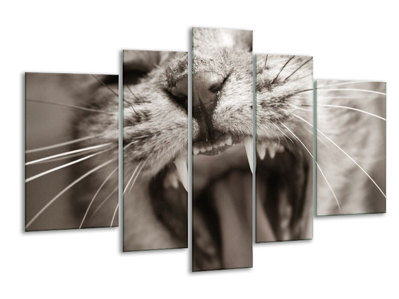 Glas schilderij Kat | Zwart, Geel, Bruin | 170x100cm 5Luik