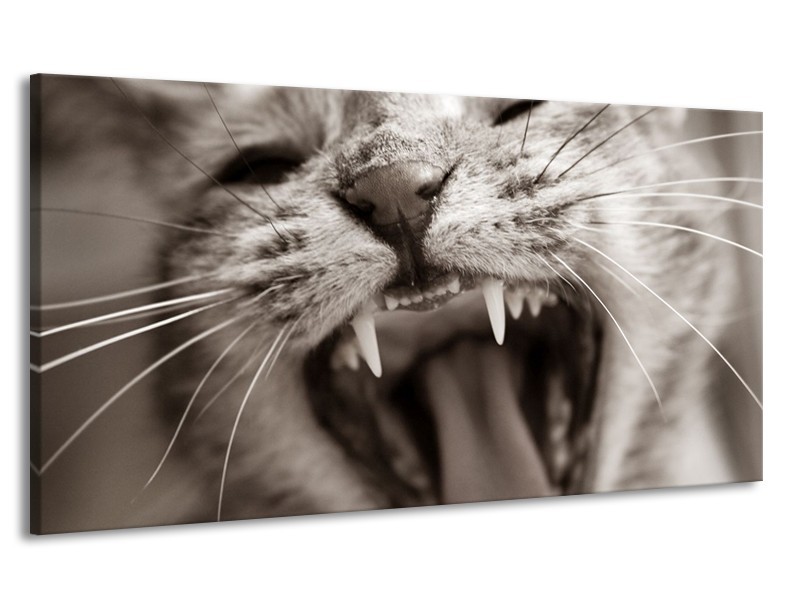 Canvas schilderij Kat | Zwart, Geel, Bruin | 170x90cm 1Luik