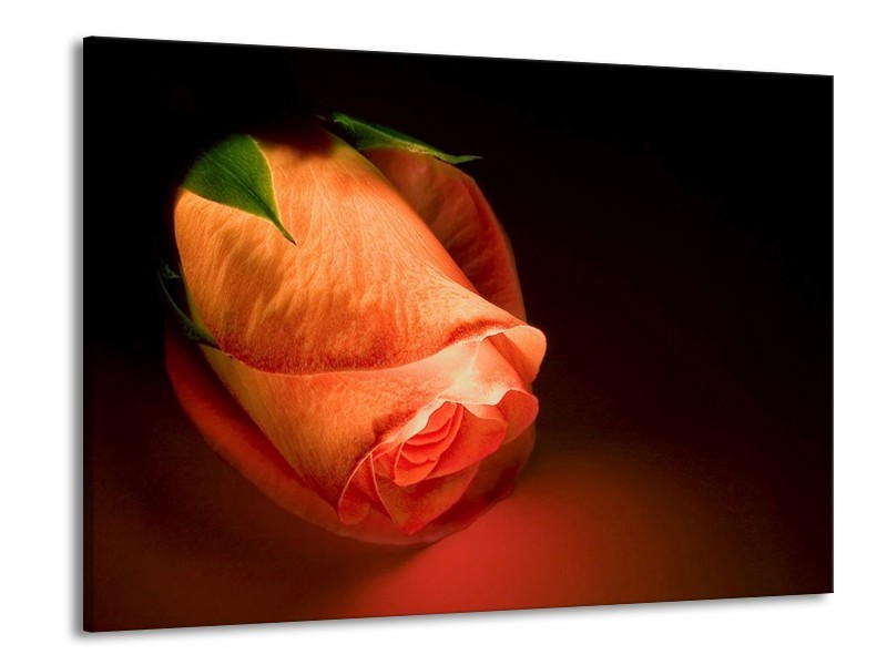 Canvas schilderij Roos | Oranje, Zwart, Groen | 100x70cm 1Luik