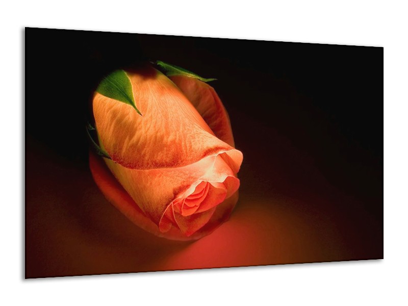 Canvas schilderij Roos | Oranje, Zwart, Groen | 120x70cm 1Luik