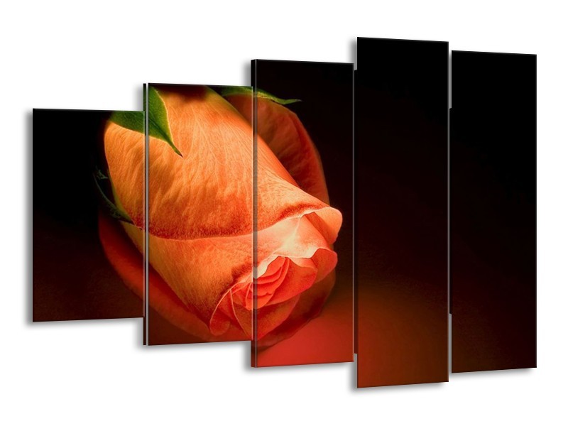 Canvas schilderij Roos | Oranje, Zwart, Groen | 150x100cm 5Luik