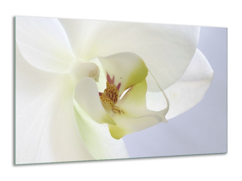 Canvas schilderij Orchidee | Wit, Geel, Groen | 120x70cm 1Luik