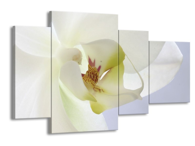 Canvas schilderij Orchidee | Wit, Geel, Groen | 120x75cm 4Luik