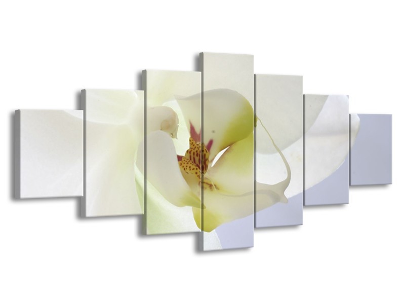 Canvas schilderij Orchidee | Wit, Geel, Groen | 210x100cm 7Luik