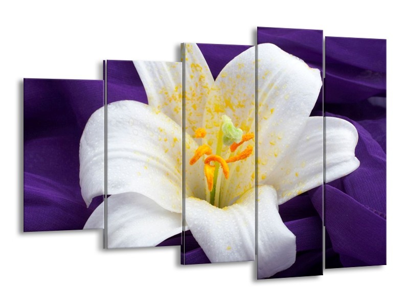 Canvas schilderij Bloem | Wit, Geel, Paars | 150x100cm 5Luik
