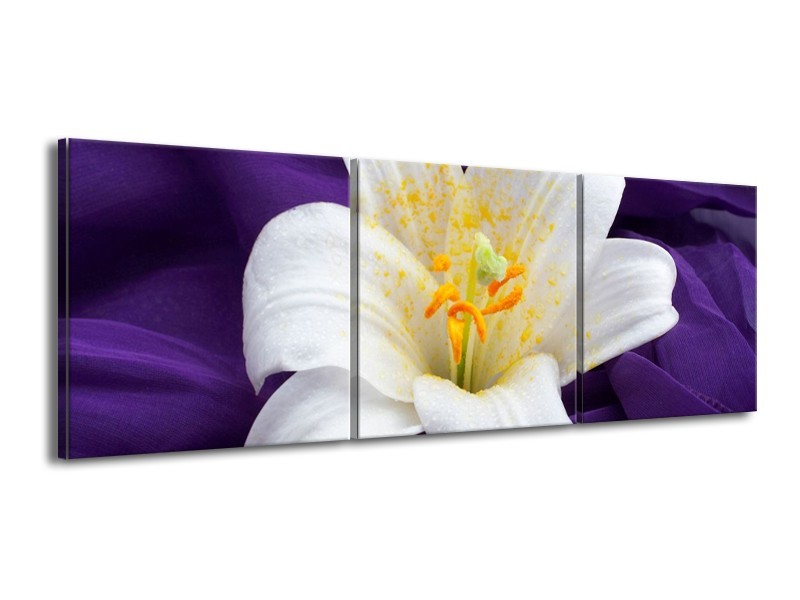 Canvas schilderij Bloem | Wit, Geel, Paars | 150x50cm 3Luik