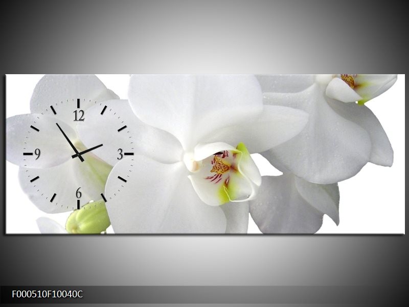 Klok schilderij Orchidee | Wit, Groen | 100x40cm 1Luik