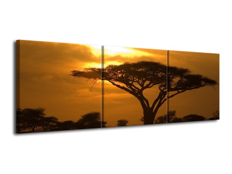 Canvas schilderij Boom | Geel, Zwart, Bruin | 120x40cm 3Luik