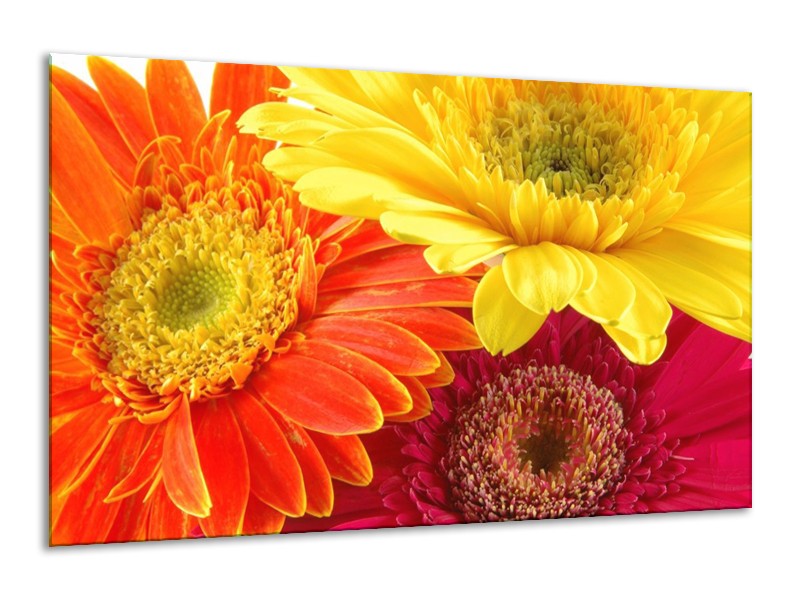 Canvas schilderij Bloem | Geel, Oranje, Rood | 120x70cm 1Luik